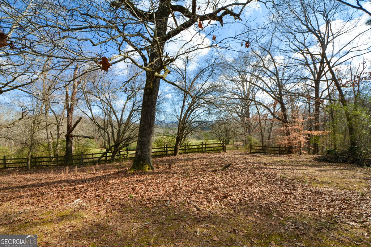 6267 Mount Pisgah Road Ellijay - Photo 50