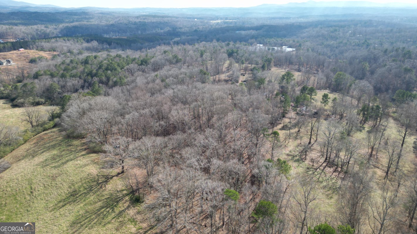 6267 Mount Pisgah Road Ellijay - Photo 54