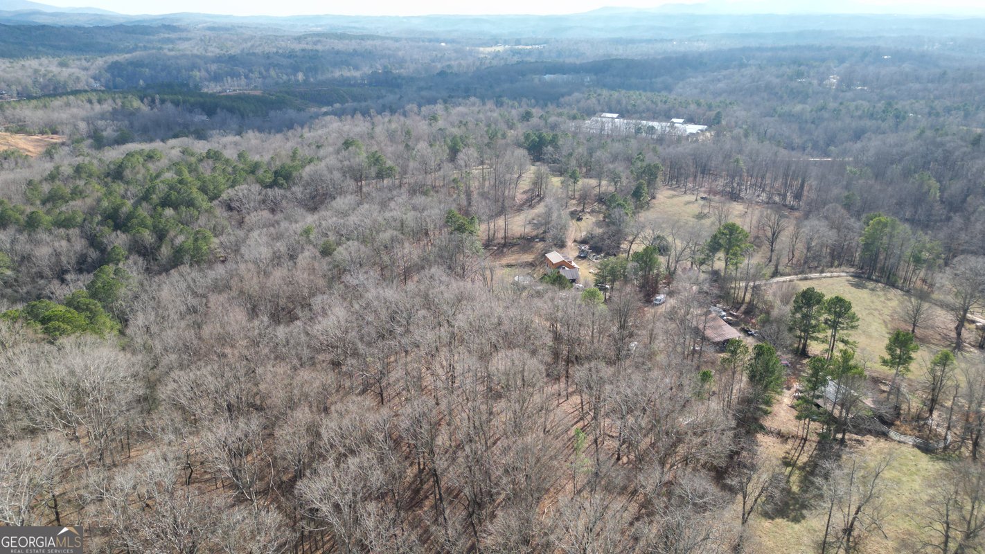 6267 Mount Pisgah Road Ellijay - Photo 55