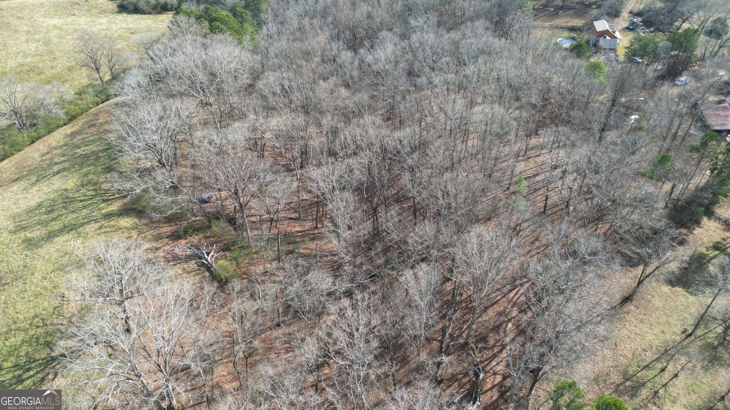 6267 Mount Pisgah Road Ellijay - Photo 56