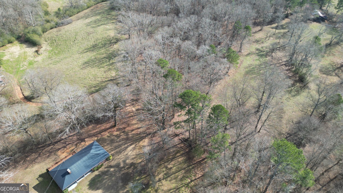 6267 Mount Pisgah Road Ellijay - Photo 57