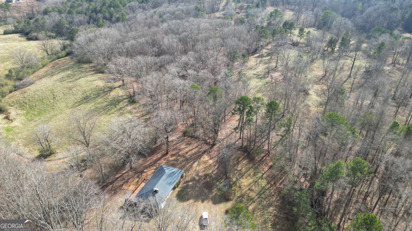 6267 Mount Pisgah Road Ellijay - Photo 58