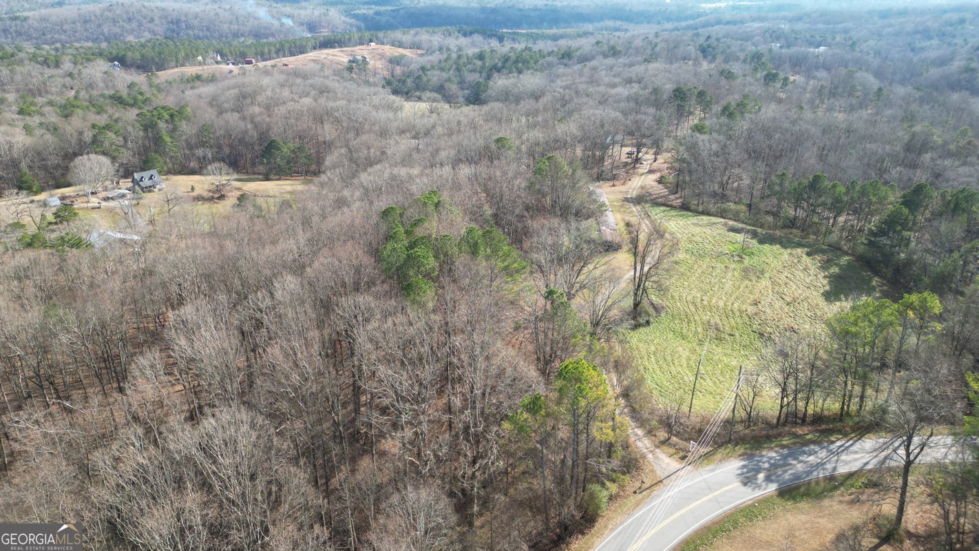 6267 Mount Pisgah Road Ellijay - Photo 59