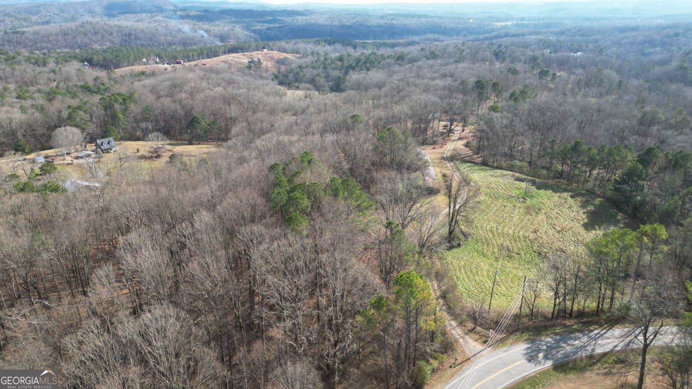 6267 Mount Pisgah Road Ellijay - Photo 60
