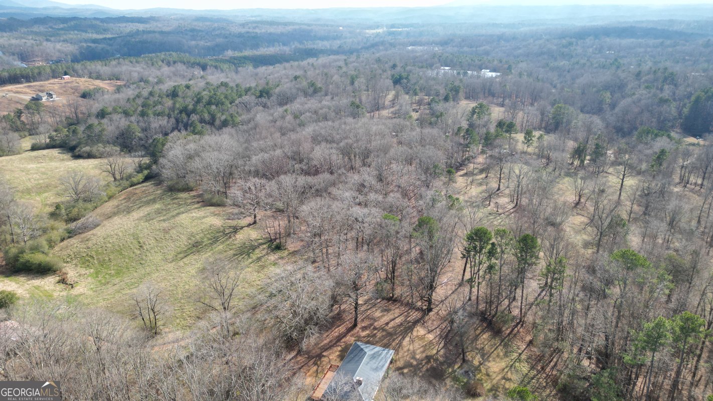 6267 Mount Pisgah Road Ellijay - Photo 63