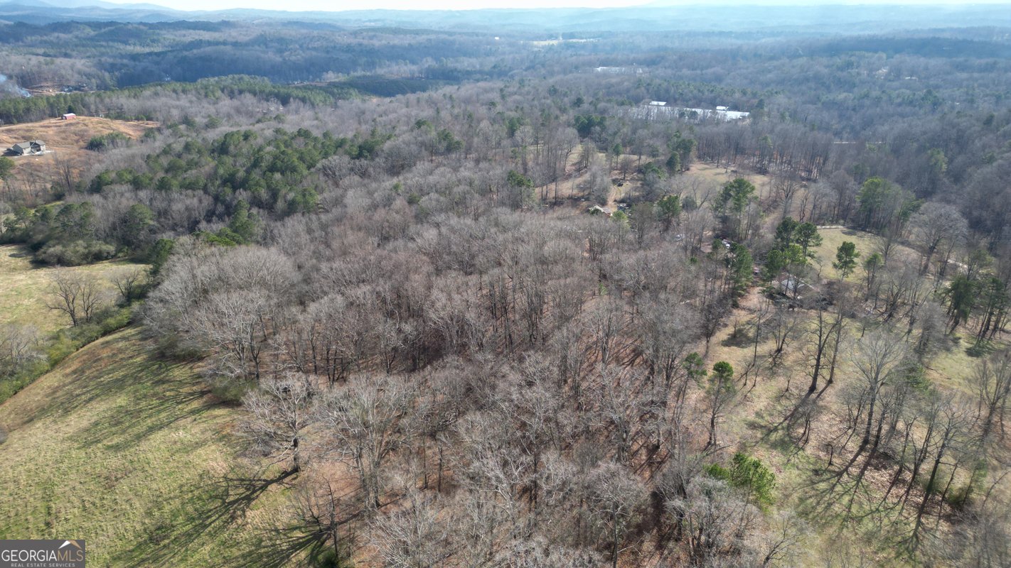 6267 Mount Pisgah Road Ellijay - Photo 64