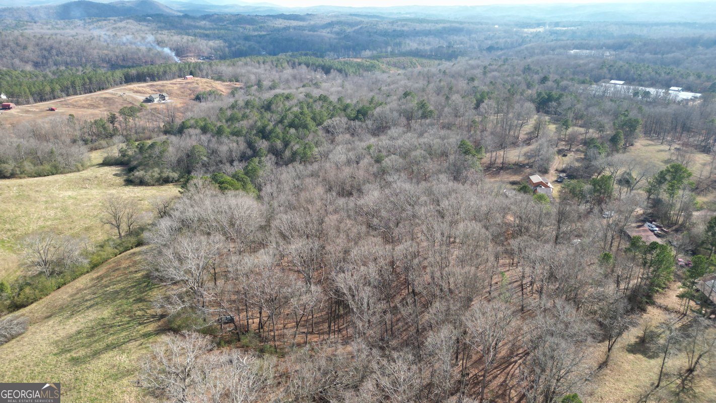 6267 Mount Pisgah Road Ellijay - Photo 65