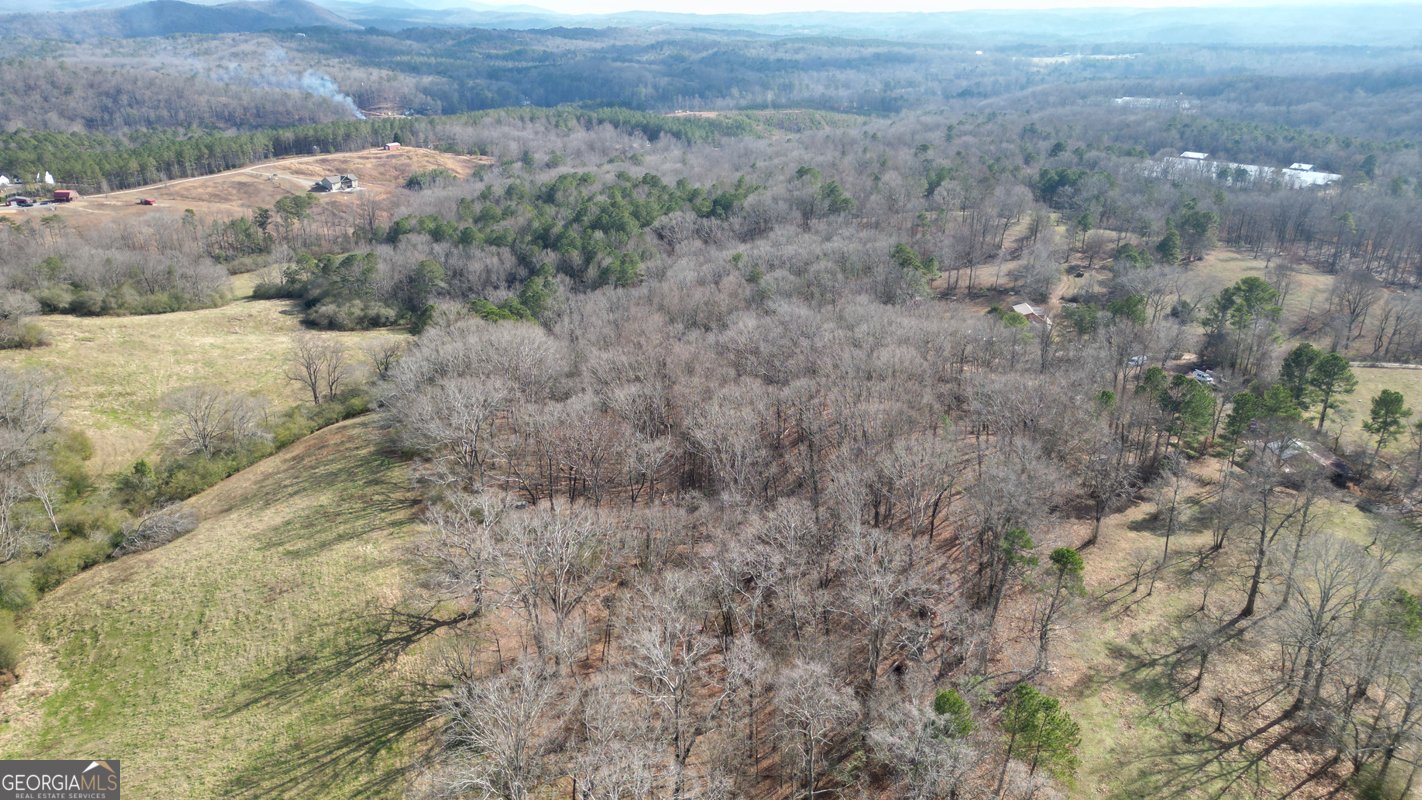 6267 Mount Pisgah Road Ellijay - Photo 66