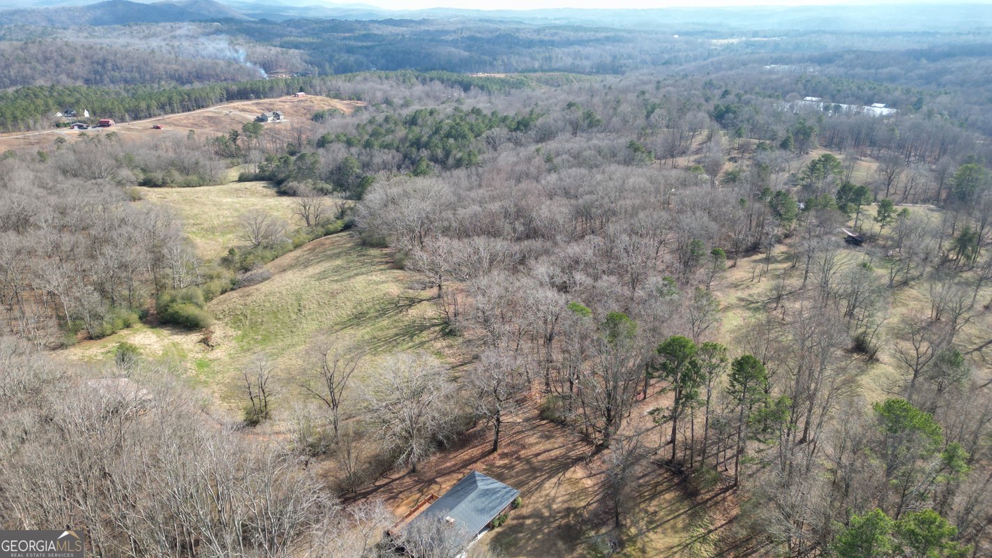 6267 Mount Pisgah Road Ellijay - Photo 67