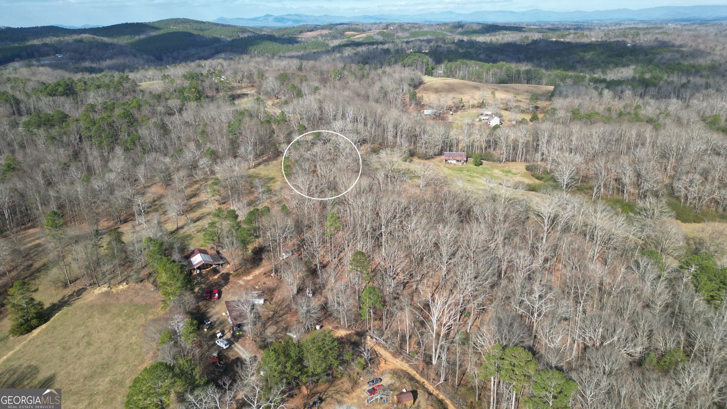 6267 Mount Pisgah Road Ellijay - Photo 68