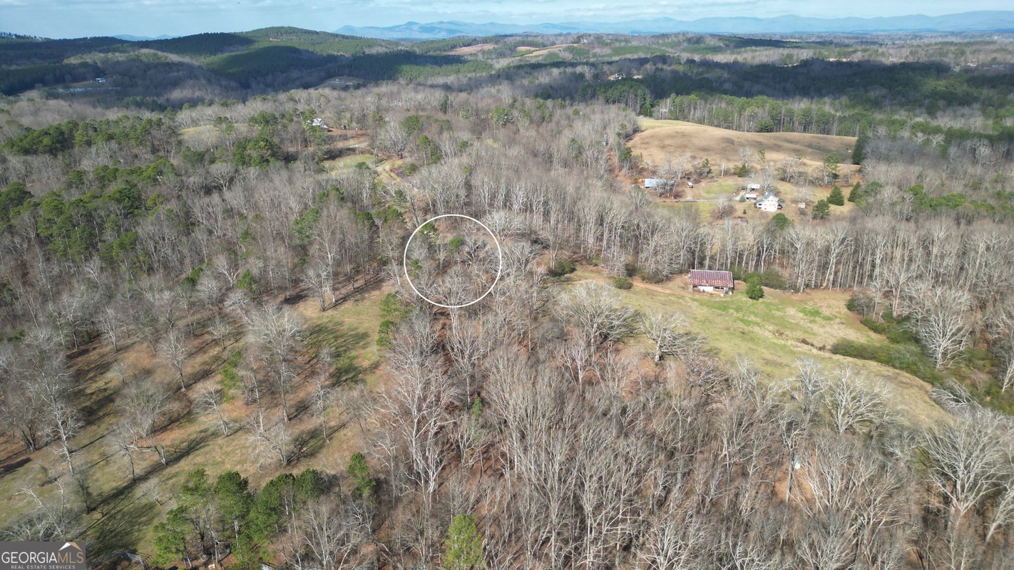 6267 Mount Pisgah Road Ellijay - Photo 69