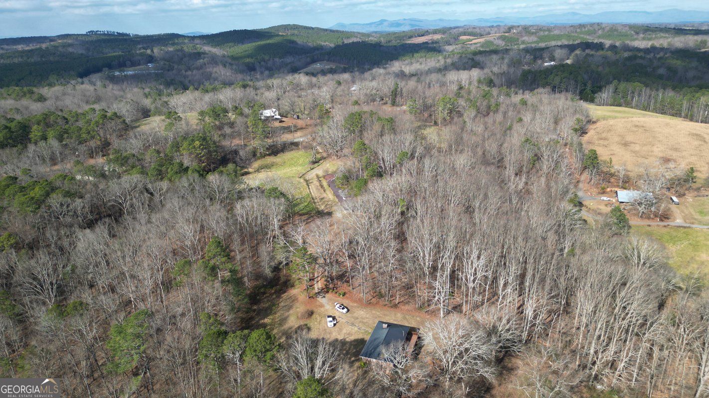 6267 Mount Pisgah Road Ellijay - Photo 71