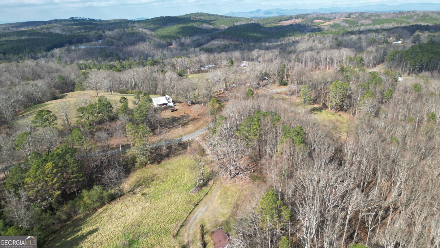 6267 Mount Pisgah Road Ellijay - Photo 73