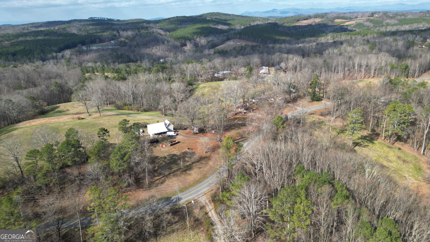6267 Mount Pisgah Road Ellijay - Photo 74