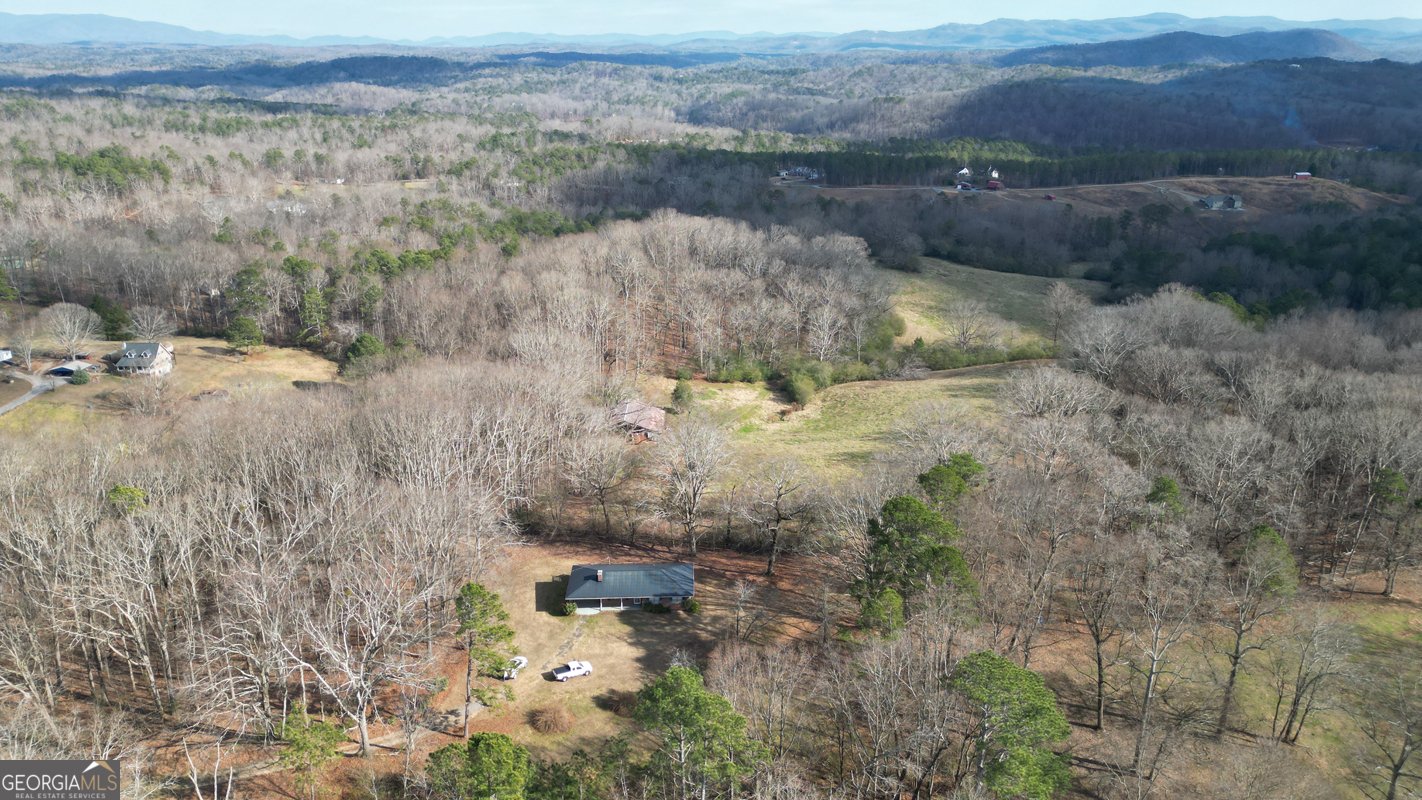 6267 Mount Pisgah Road Ellijay - Photo 75