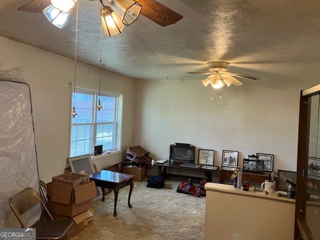 104 Dungeness Griffin - Photo 33