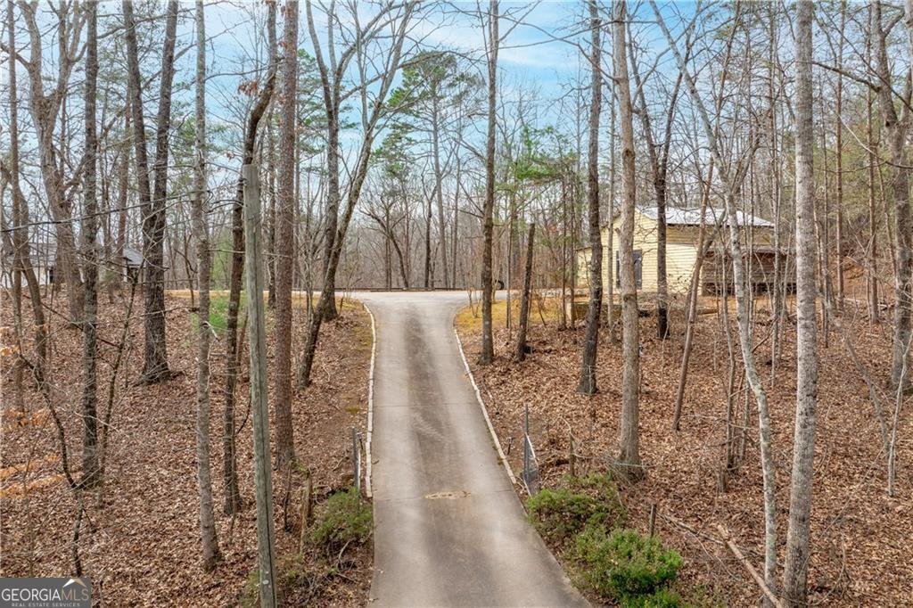 1220 New Bethel Church Road Dawsonville - Photo 36