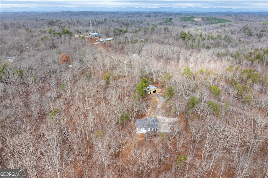 1220 New Bethel Church Road Dawsonville - Photo 41