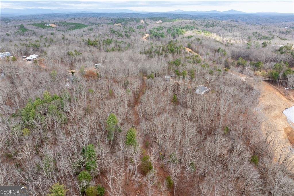 1220 New Bethel Church Road Dawsonville - Photo 42