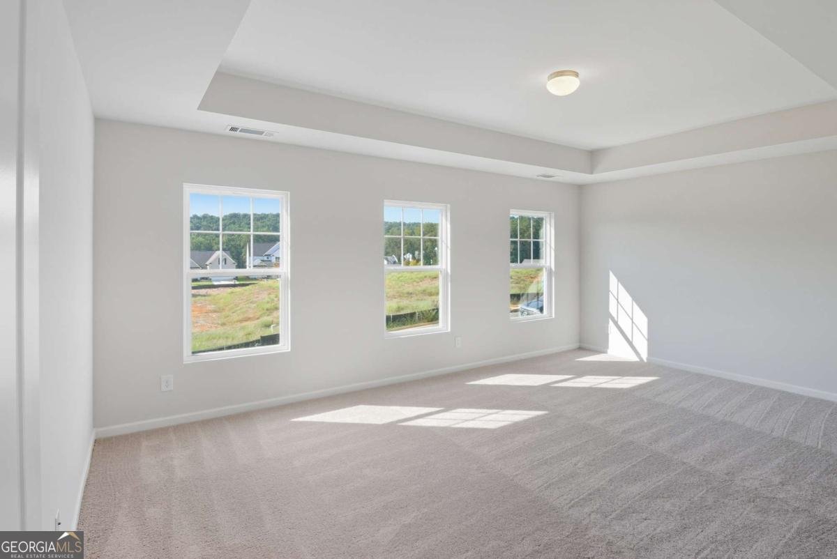 153 Bloomfield Circle Canton - Photo 11