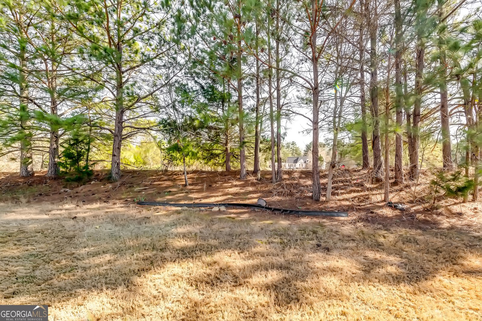 523 Carleton Place Locust Grove - Photo 14