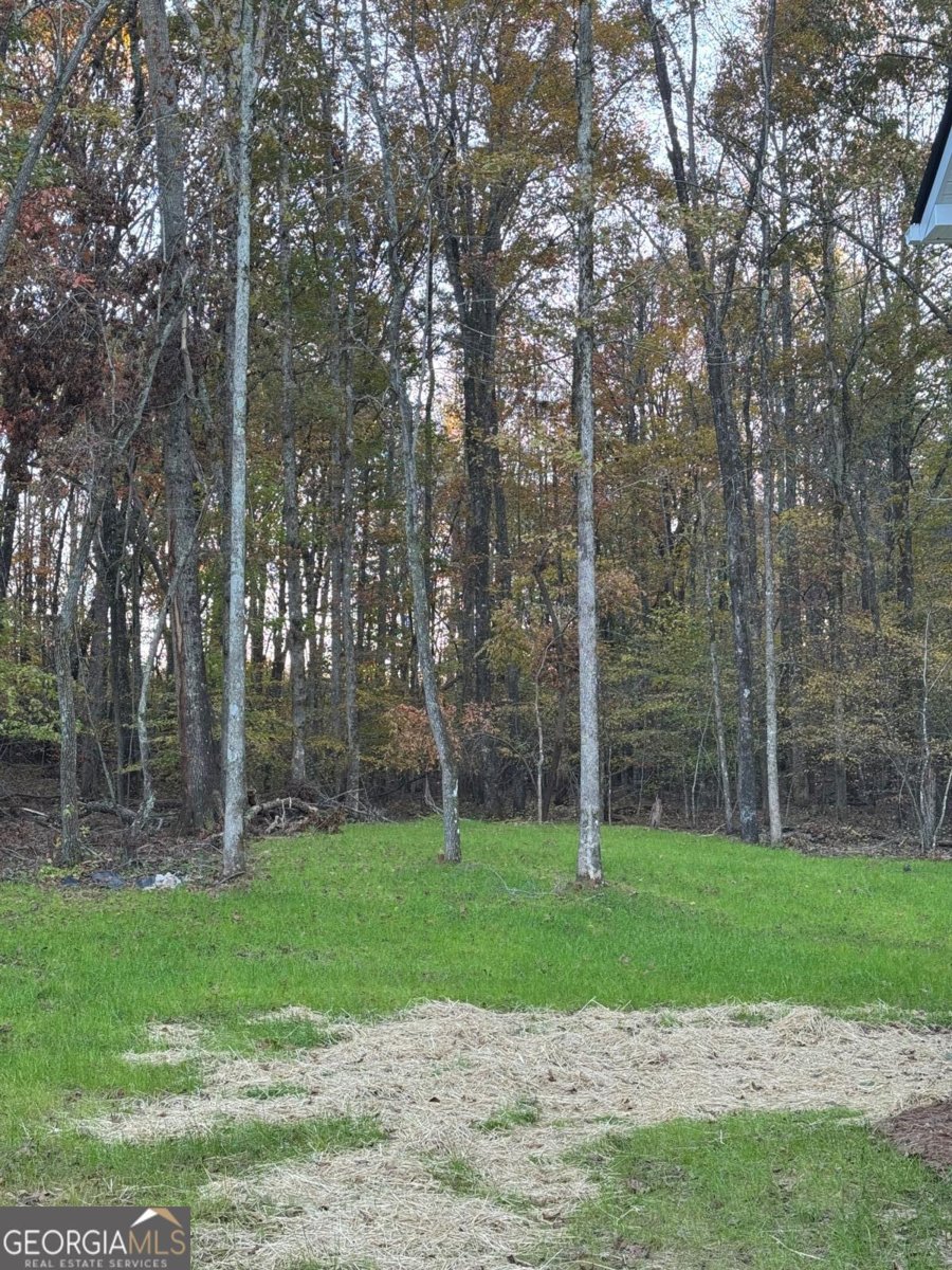 5127 BIRD Road Gainesville - Photo 19