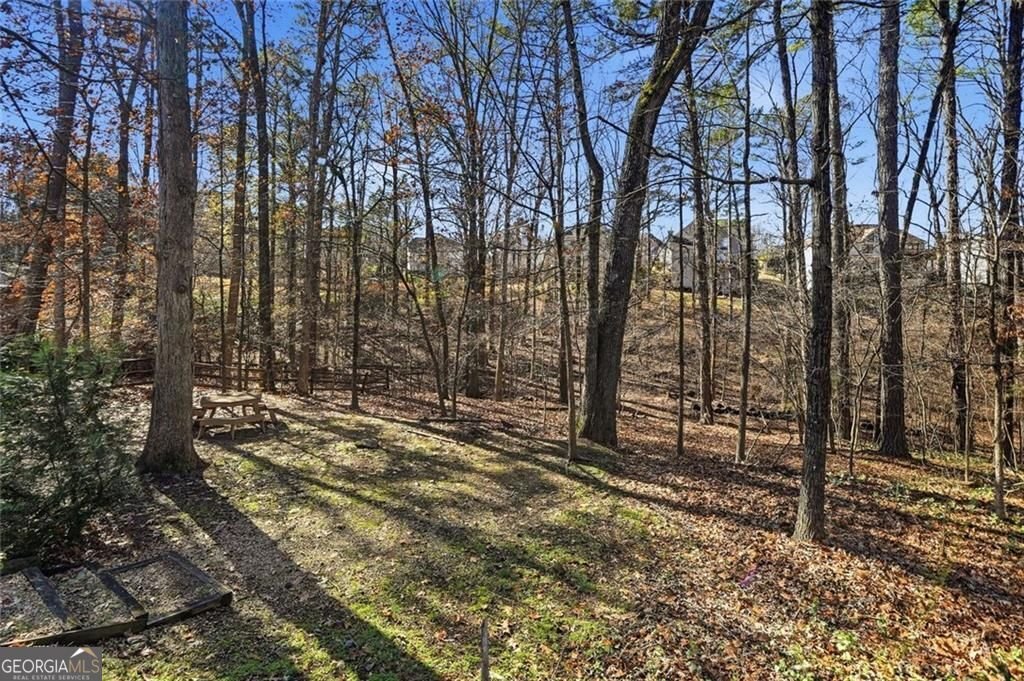 109 Piedmont Lane Woodstock - Photo 70