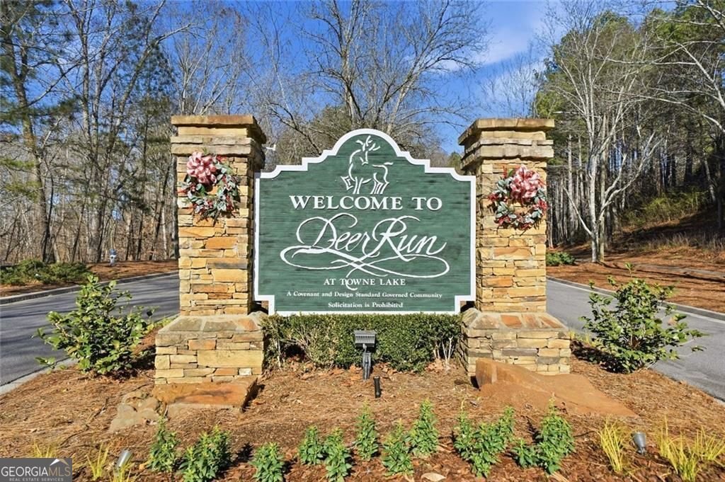 109 Piedmont Lane Woodstock - Photo 72