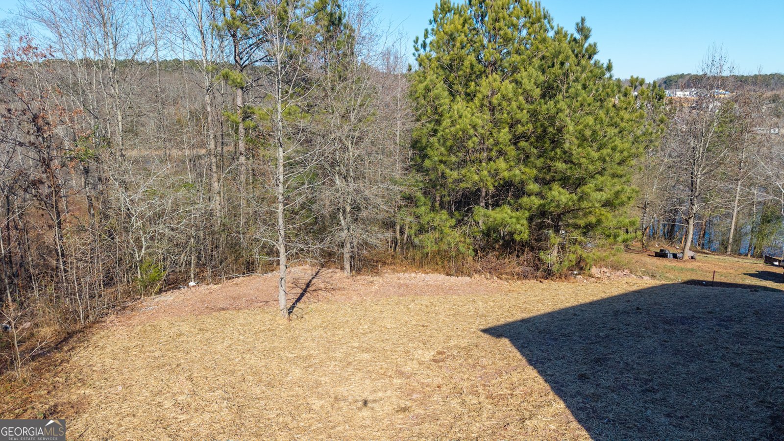 458 Lakecrest Circle Calhoun - Photo 19