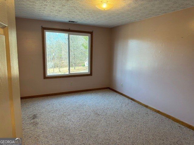 305 Dailey's Plantation Drive McDonough - Photo 31