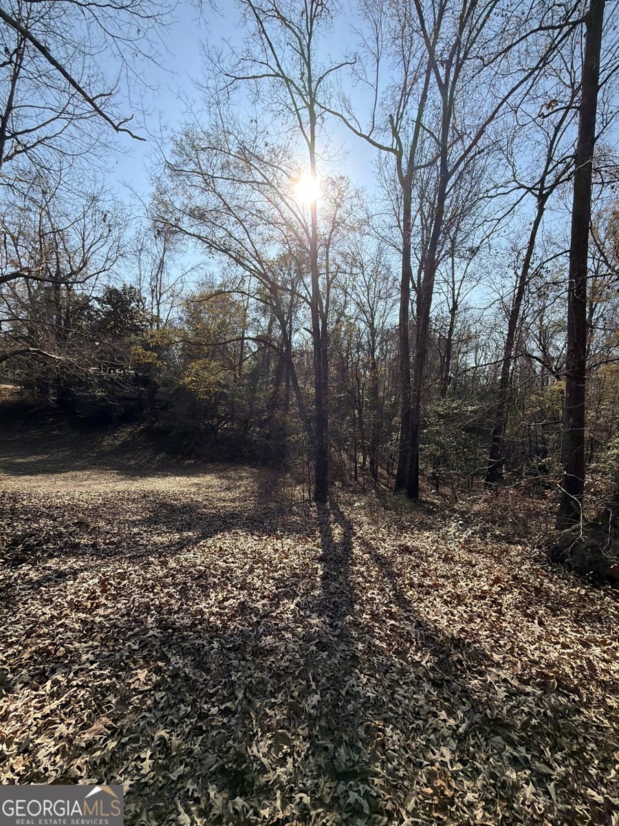 3608 Franklinton Road Dry Branch - Photo 6