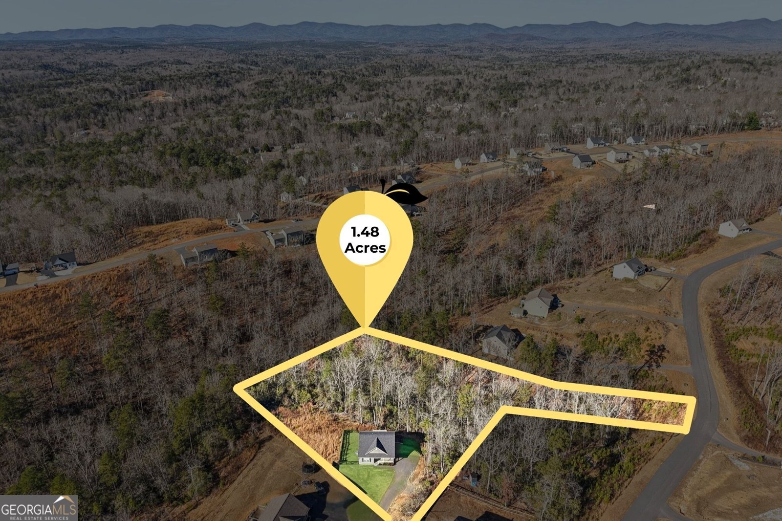 250 Silas Road Dahlonega - Photo 40