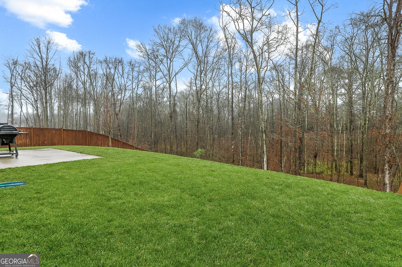 328 Orchid Drive McDonough - Photo 41