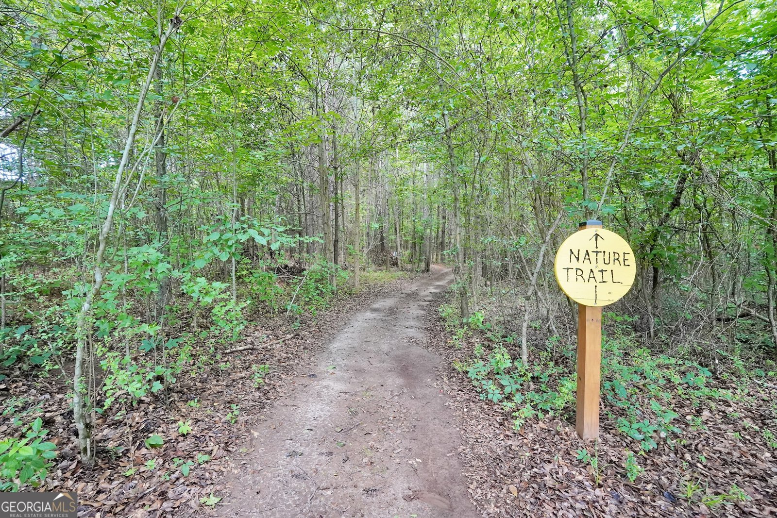 2985 Teamon Road Griffin - Photo 48