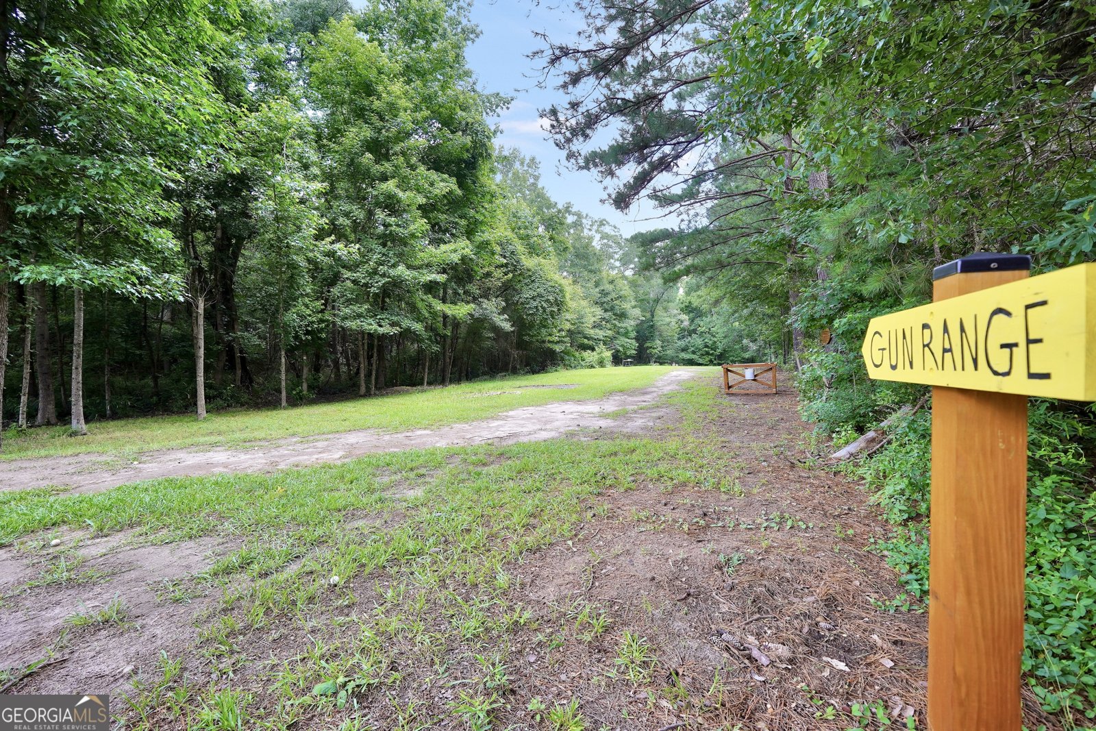 2985 Teamon Road Griffin - Photo 49