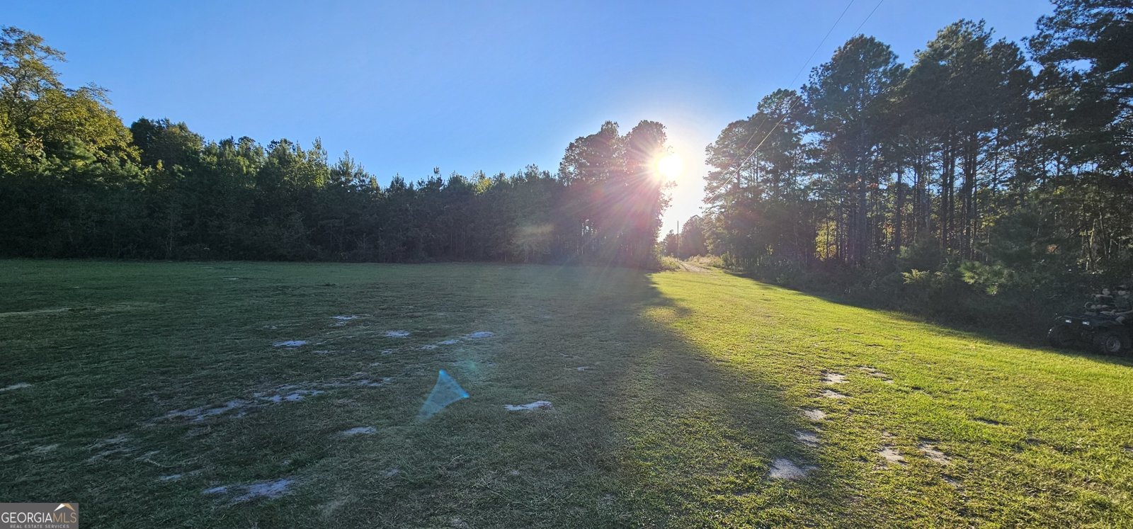 596 Arnett School Road Sylvania - Photo 18