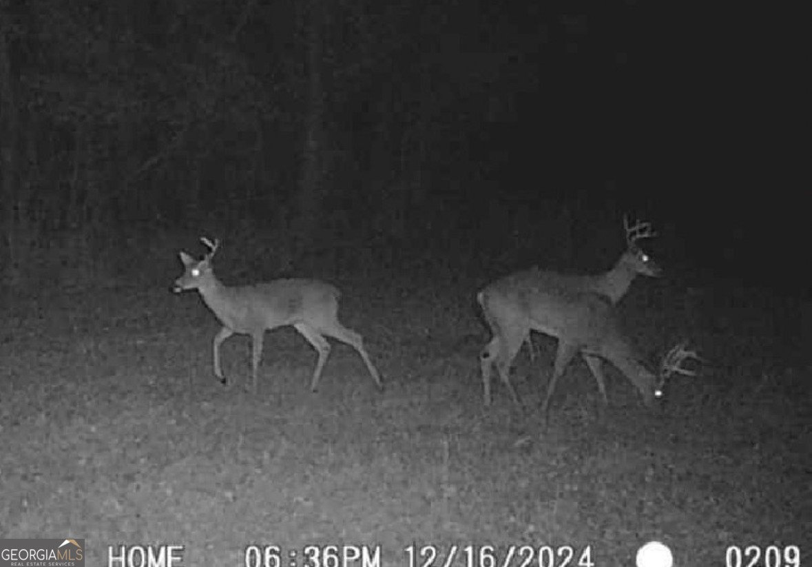 596 Arnett School Road Sylvania - Photo 19