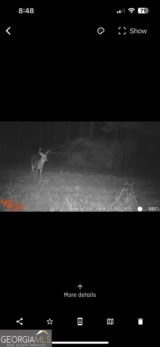 596 Arnett School Road Sylvania - Photo 31