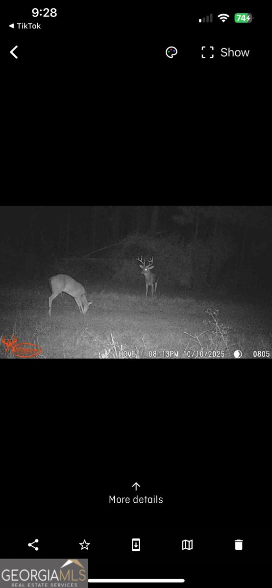 596 Arnett School Road Sylvania - Photo 35