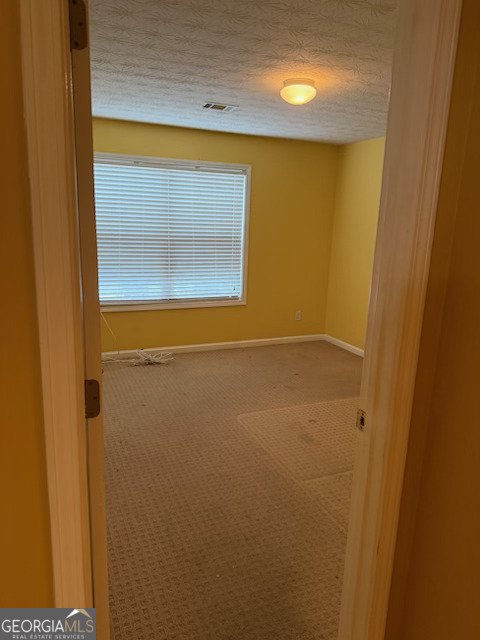 517 Pond Lillies Road Lawrenceville - Photo 15