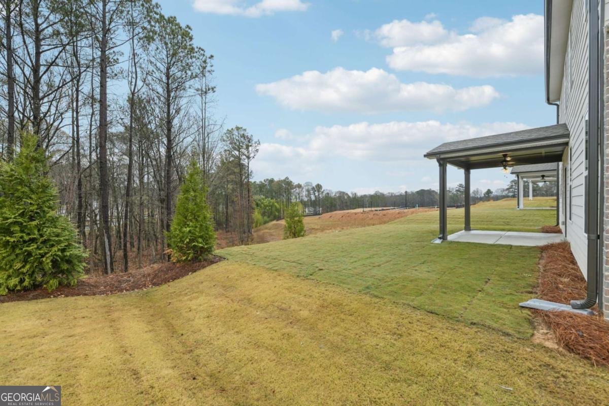 2365 Dixon Place Loganville - Photo 42