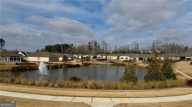 35 Pinewood Court Hiram - Photo 39