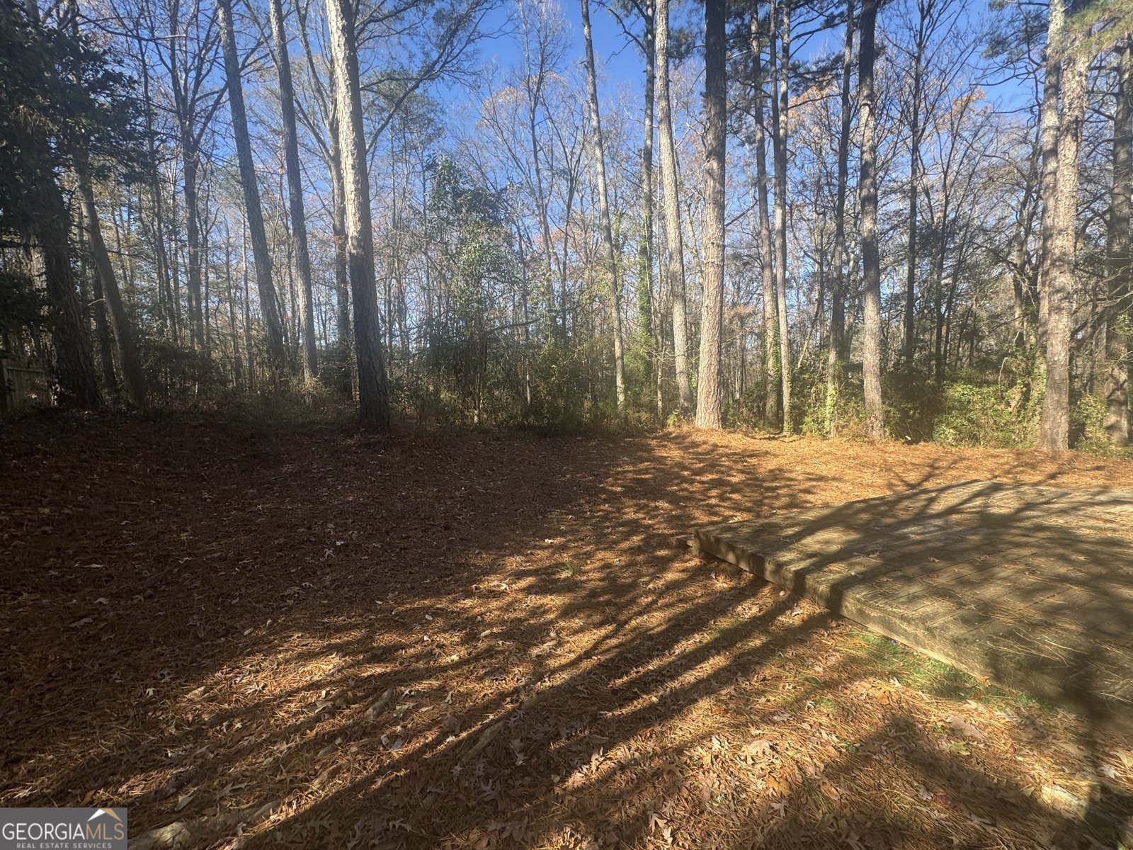 3439 Bleckley Drive Lithonia - Photo 11