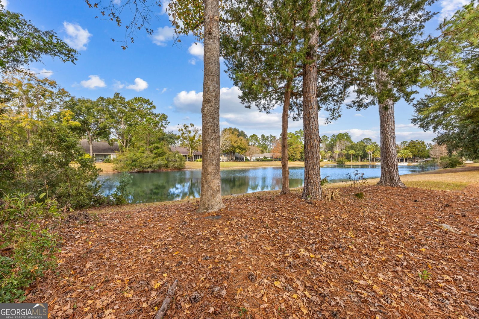 1050 Greenwillow Drive St. Marys - Photo 51