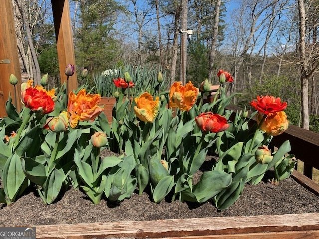 339 Birdseye View Blue Ridge - Photo 83