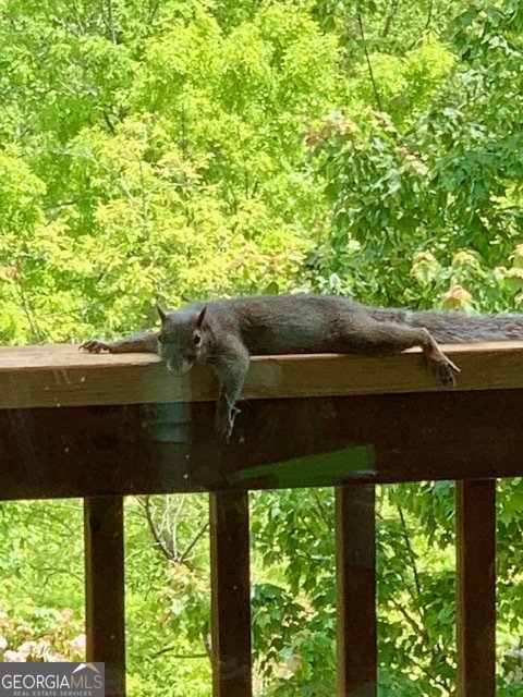 339 Birdseye View Blue Ridge - Photo 84