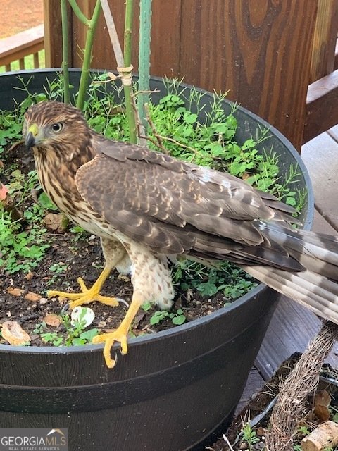 339 Birdseye View Blue Ridge - Photo 85