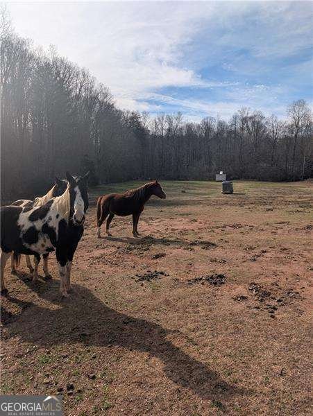 330 Davidson Road Cleveland - Photo 20