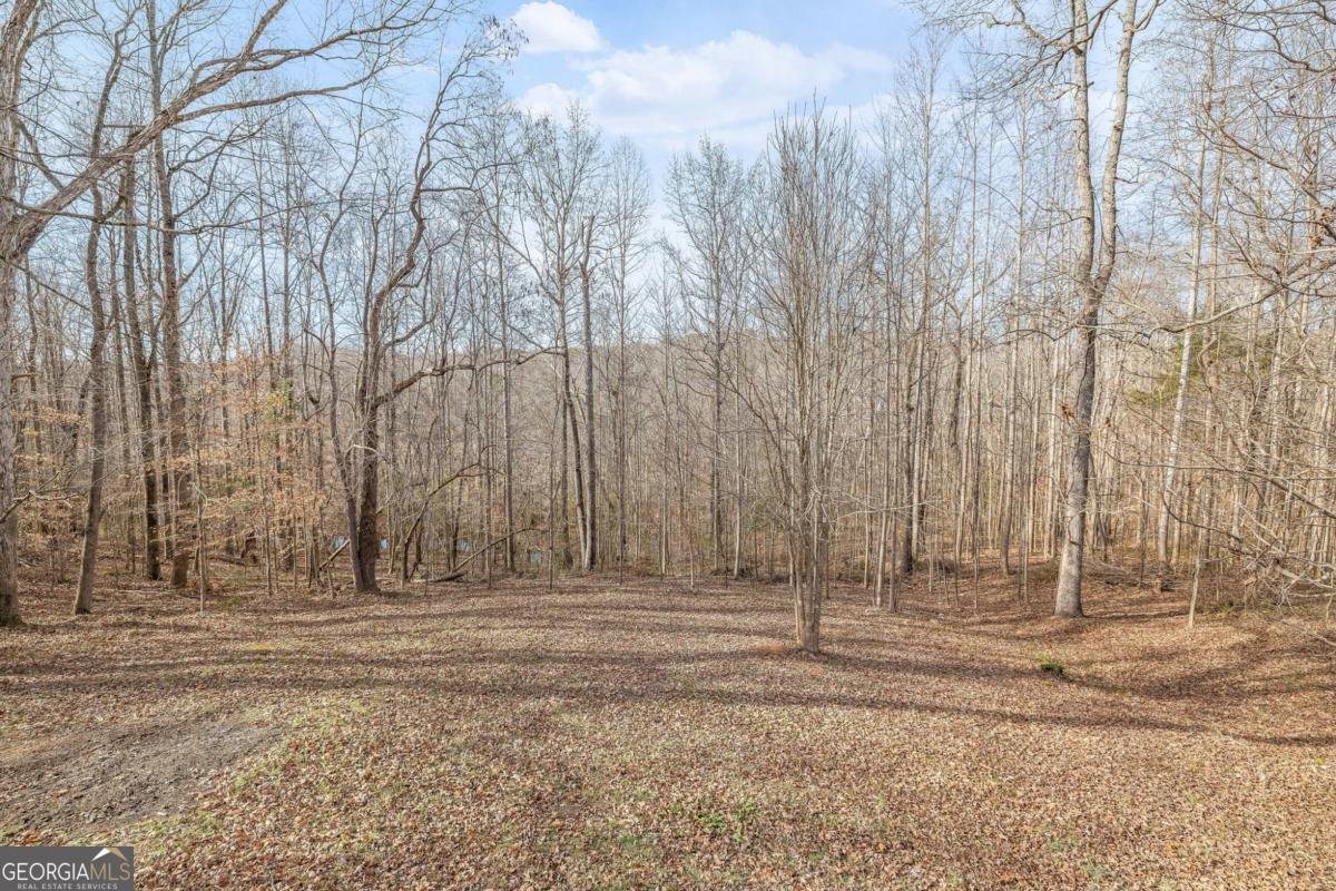 778 Ivy Creek Drive Nicholson - Photo 22