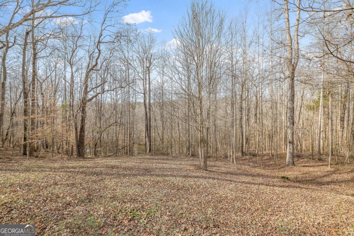 778 Ivy Creek Drive Nicholson - Photo 23